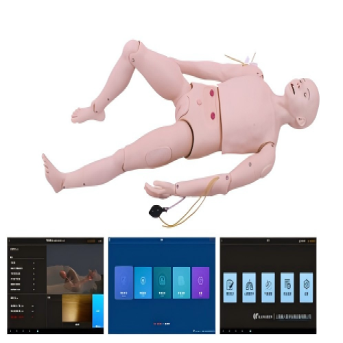 高級成人護(hù)理及CPR模型人（軟件版）